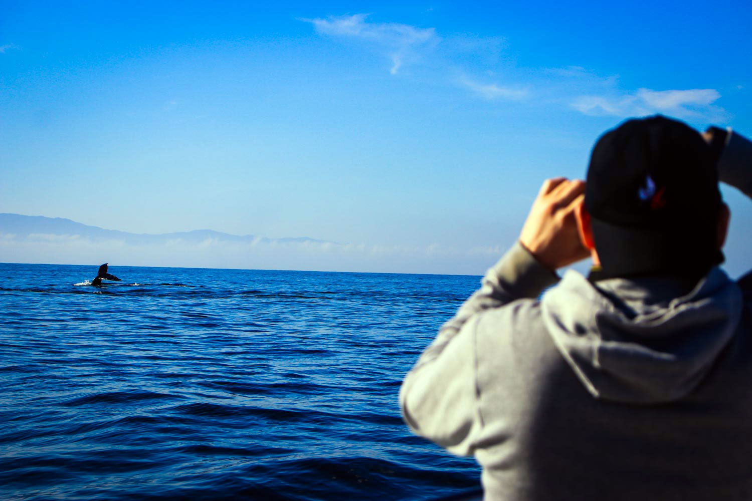 Chica Super Panga 30' Private Boat Tour Upto 10 People — 16/24