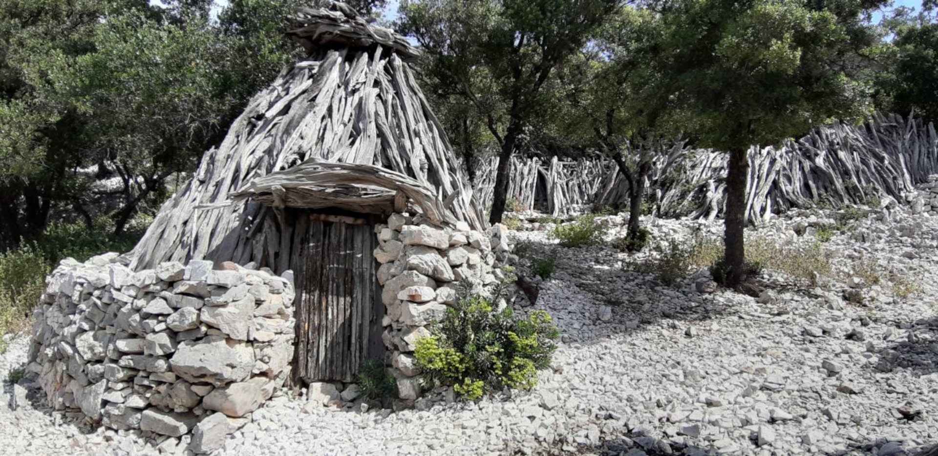 From Baunei: trekking to Cala Mariolu - Photo 21