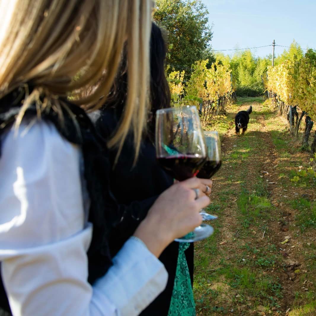Soul of Tuscany & Cinque Terre | Premium Independent Tour including small-group excursions | 8days/7nights - Photo 3