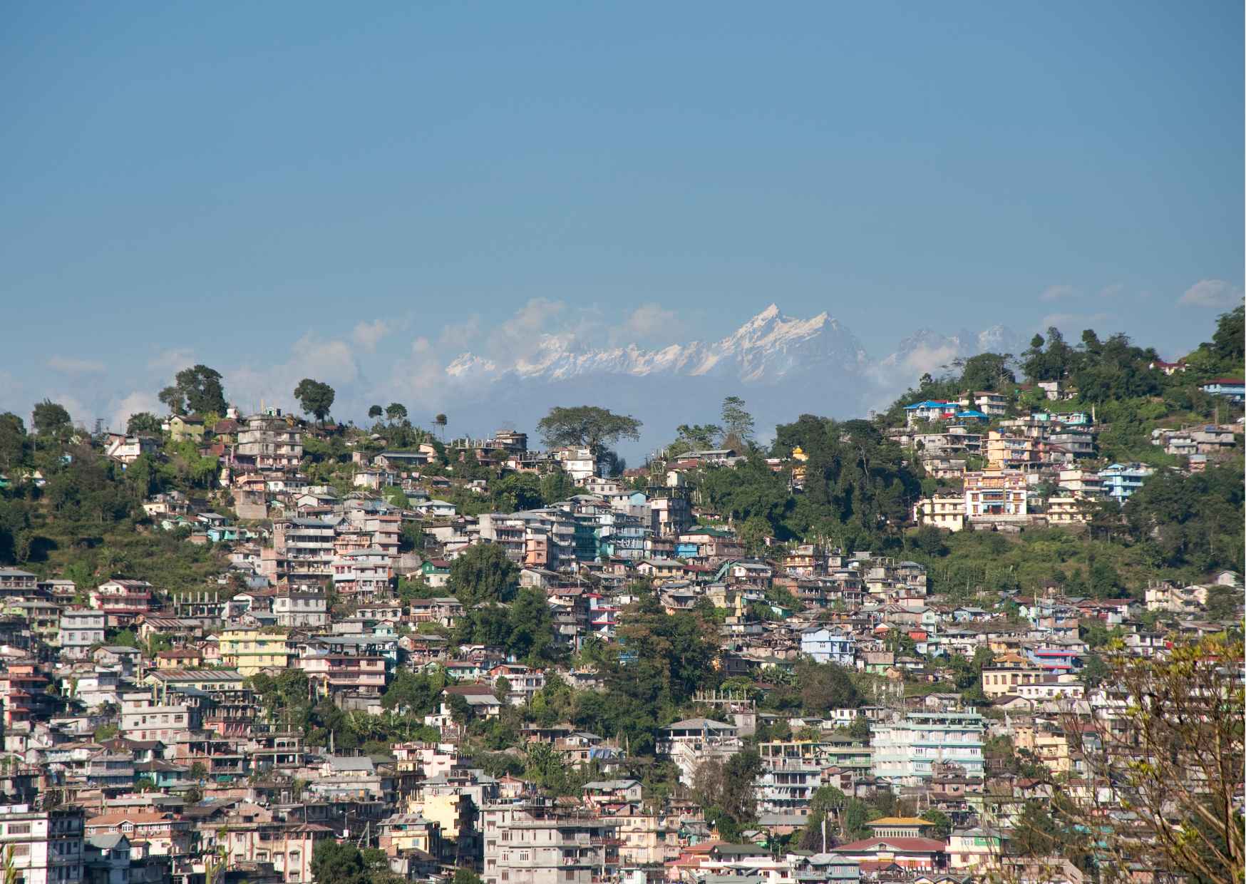 Day Trip to Kalimpong (Guided Private Sightseeing Experience from Darjeeling) - Photo 7