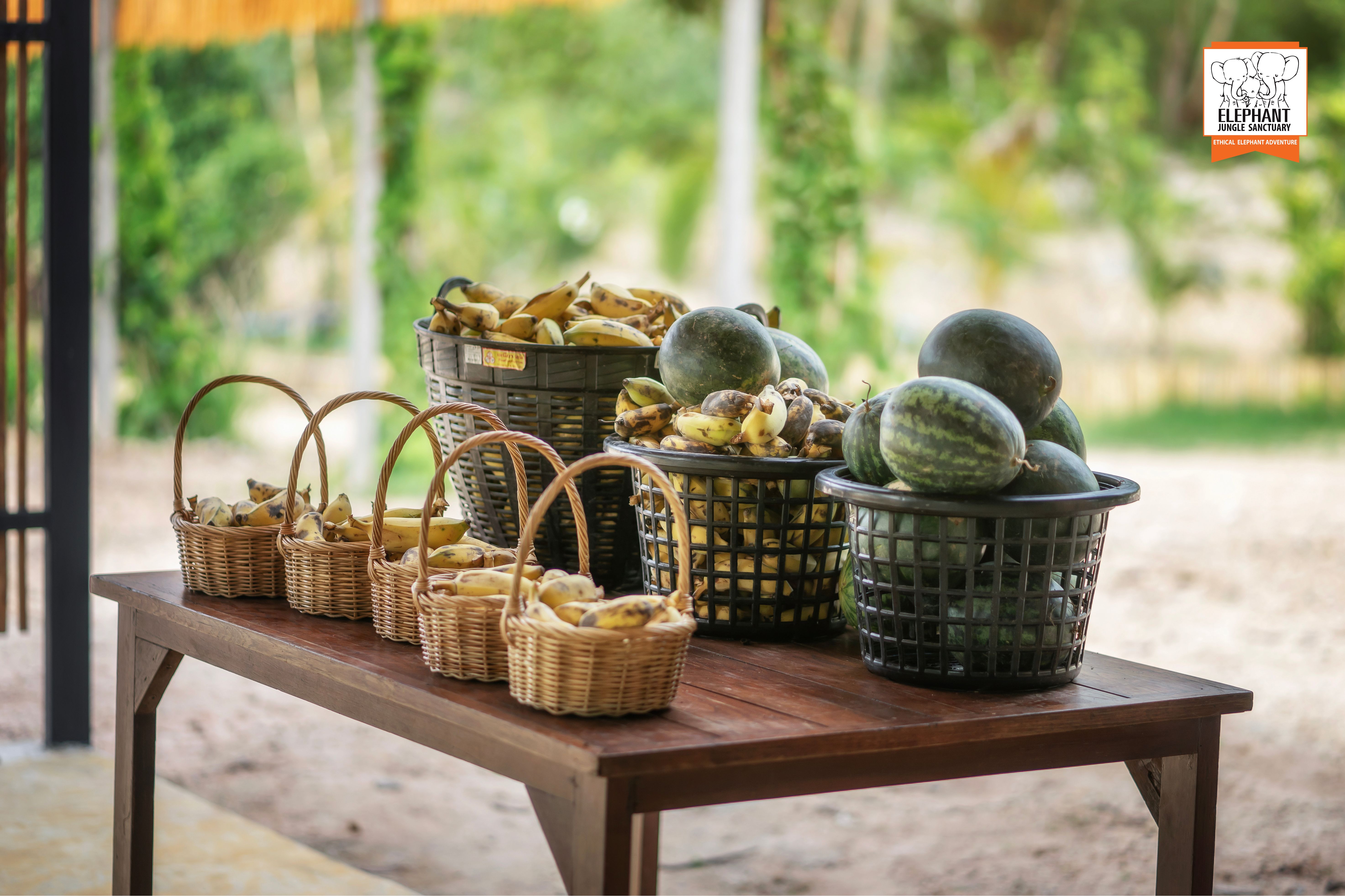 Chiang Mai: Feed Me Experience