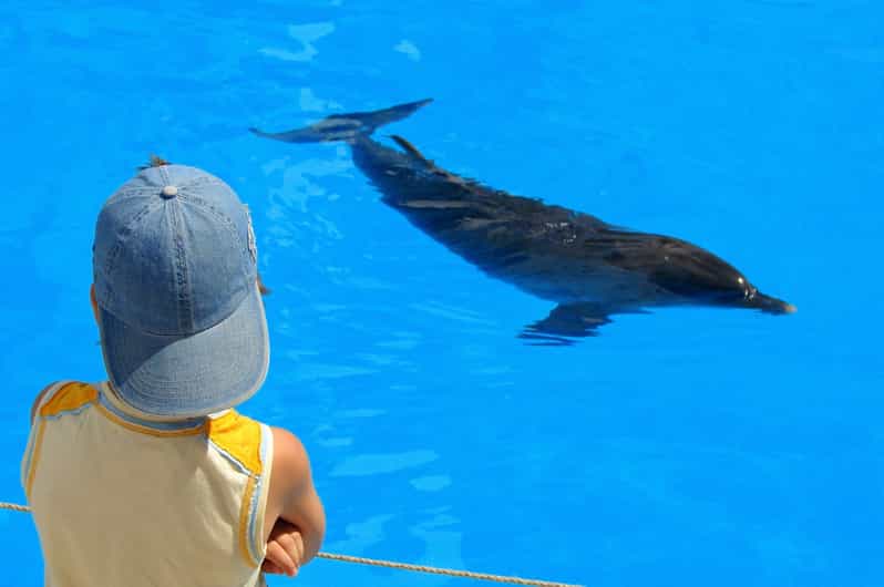 Dolphin House Trip - 4