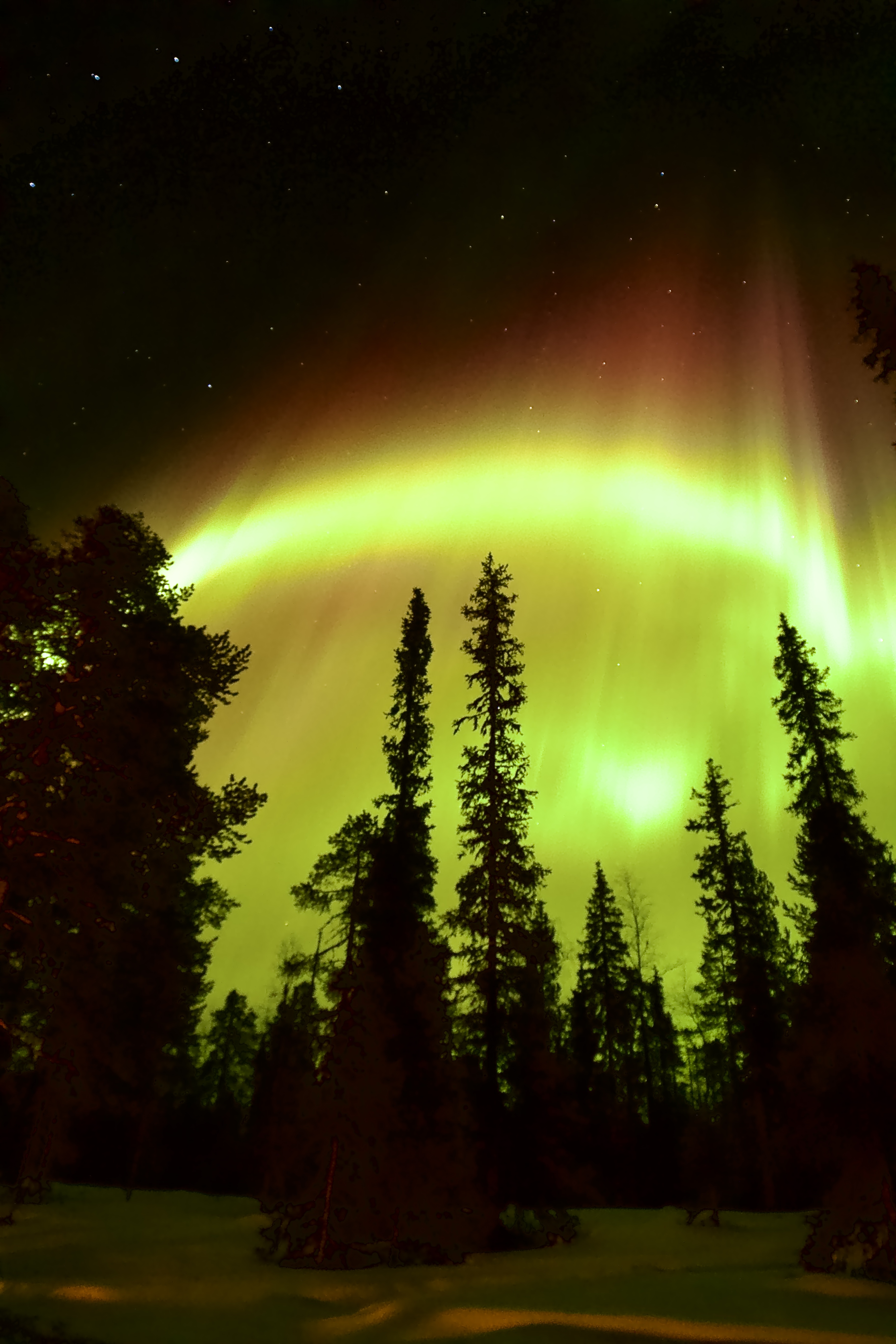 VIP Arctic Exclusive Northern Lights Experience From Levi
