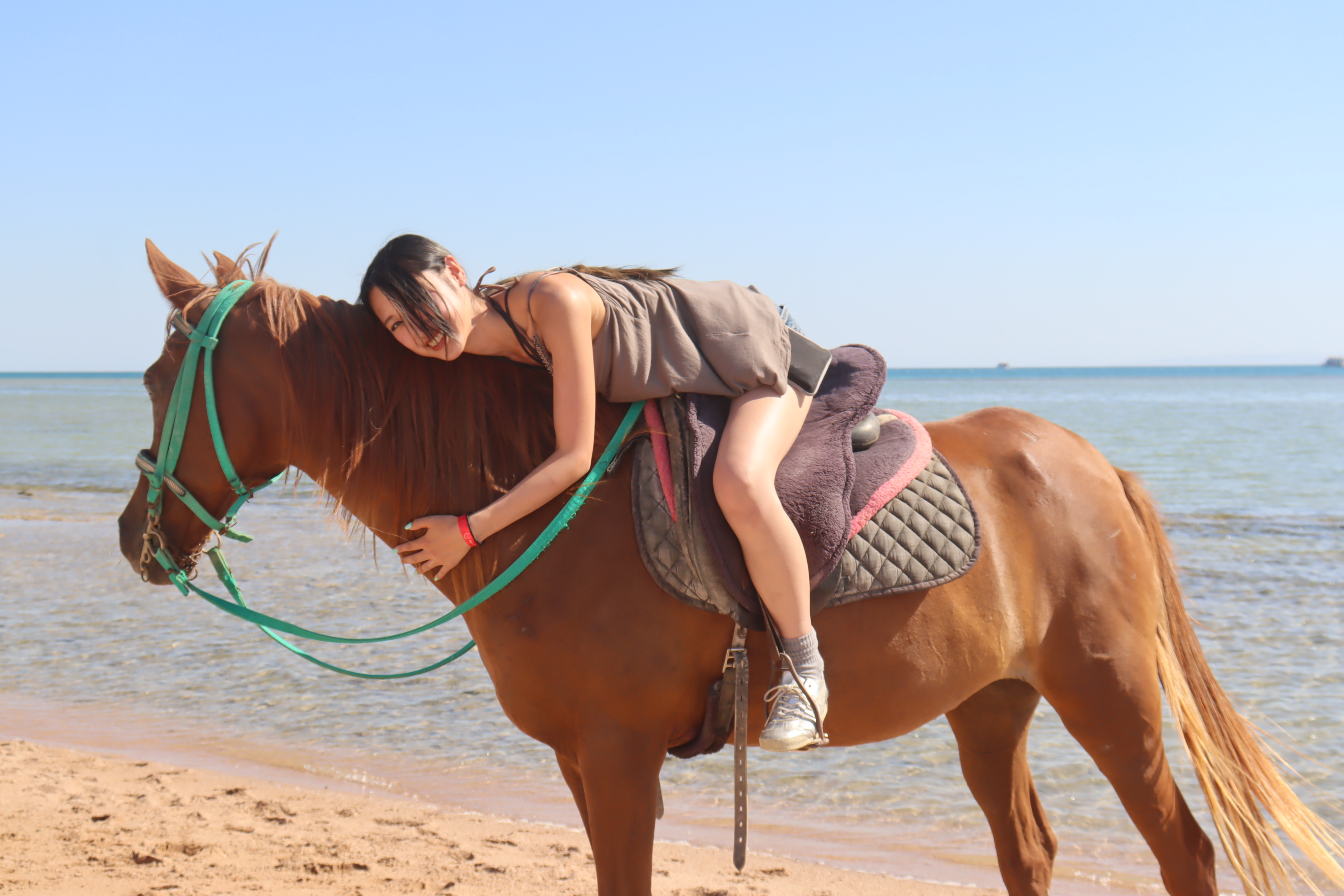 Premium 1 Hour Elite Desert Horseback Riding Adventure – Hurghada