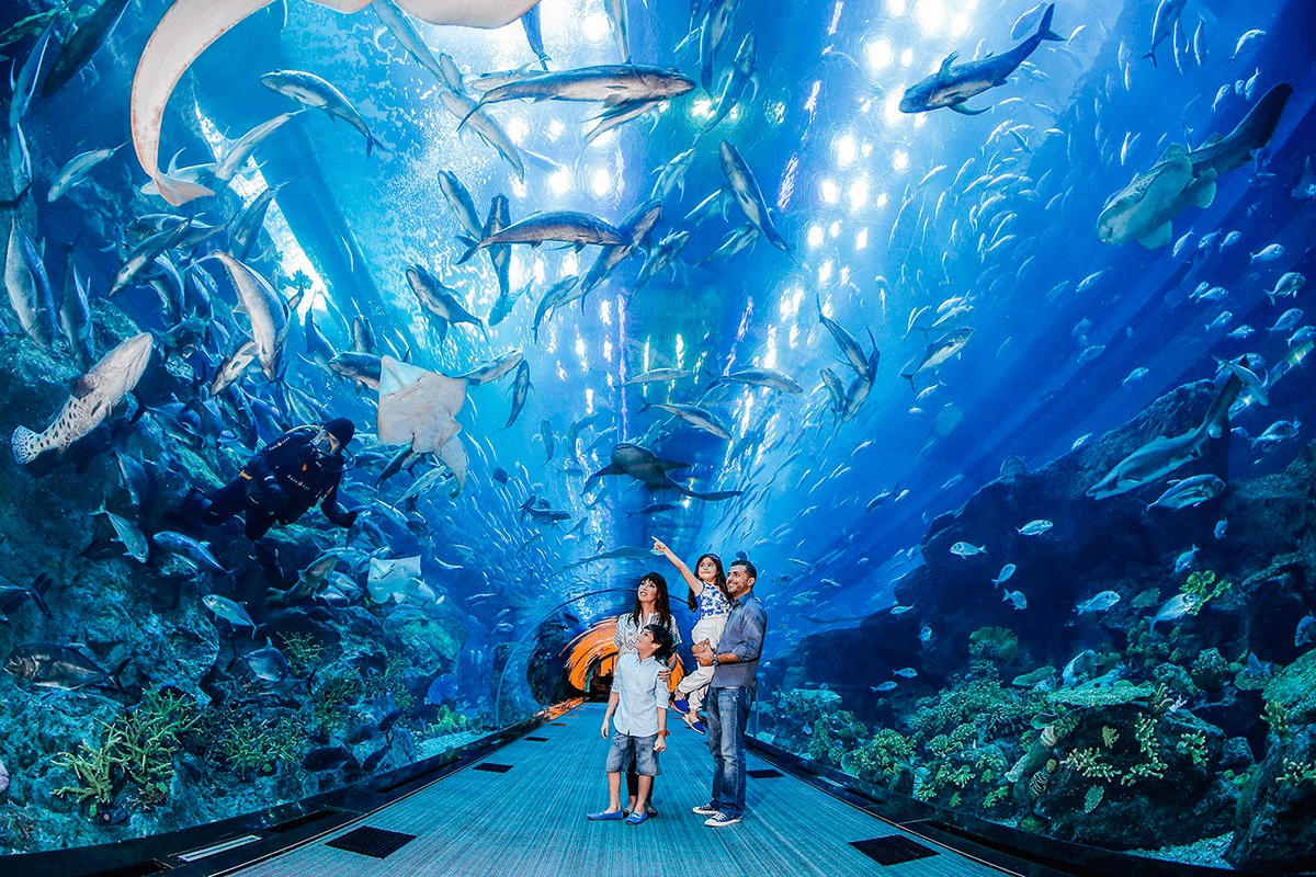 Private Half day Dubai City Tour with Dubai Mall shopping, Aquarium & Zoo, Burj Khalifa 124/125th floor visit & Musical Fountain Show Private Half day Dubai City Tour with Dubai Mall shopping, Aquarium & Zoo, Burj Khalifa 124/125th floor visit & Musical Fountain Show