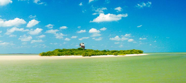 Tour a Holbox Express 3