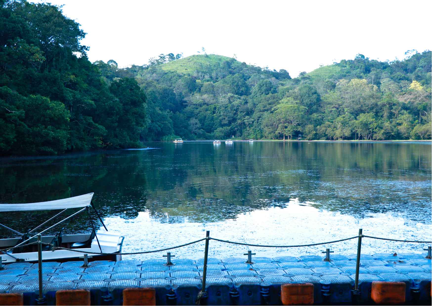 Day Trip to Wayanad (Guided Private Sightseeing Experience from Mysore) - Photo 7