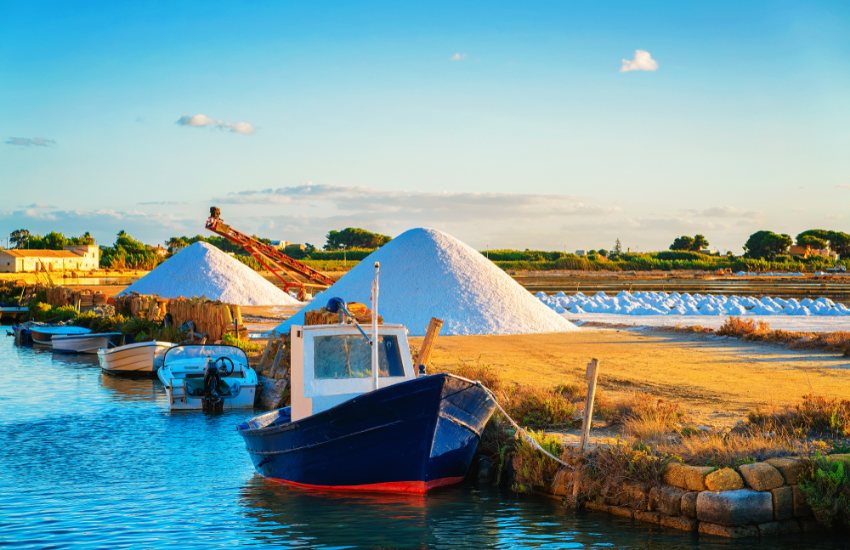 Marsala Tour, Wine tasting and Laguna by boat from Trapani  - Photo 3