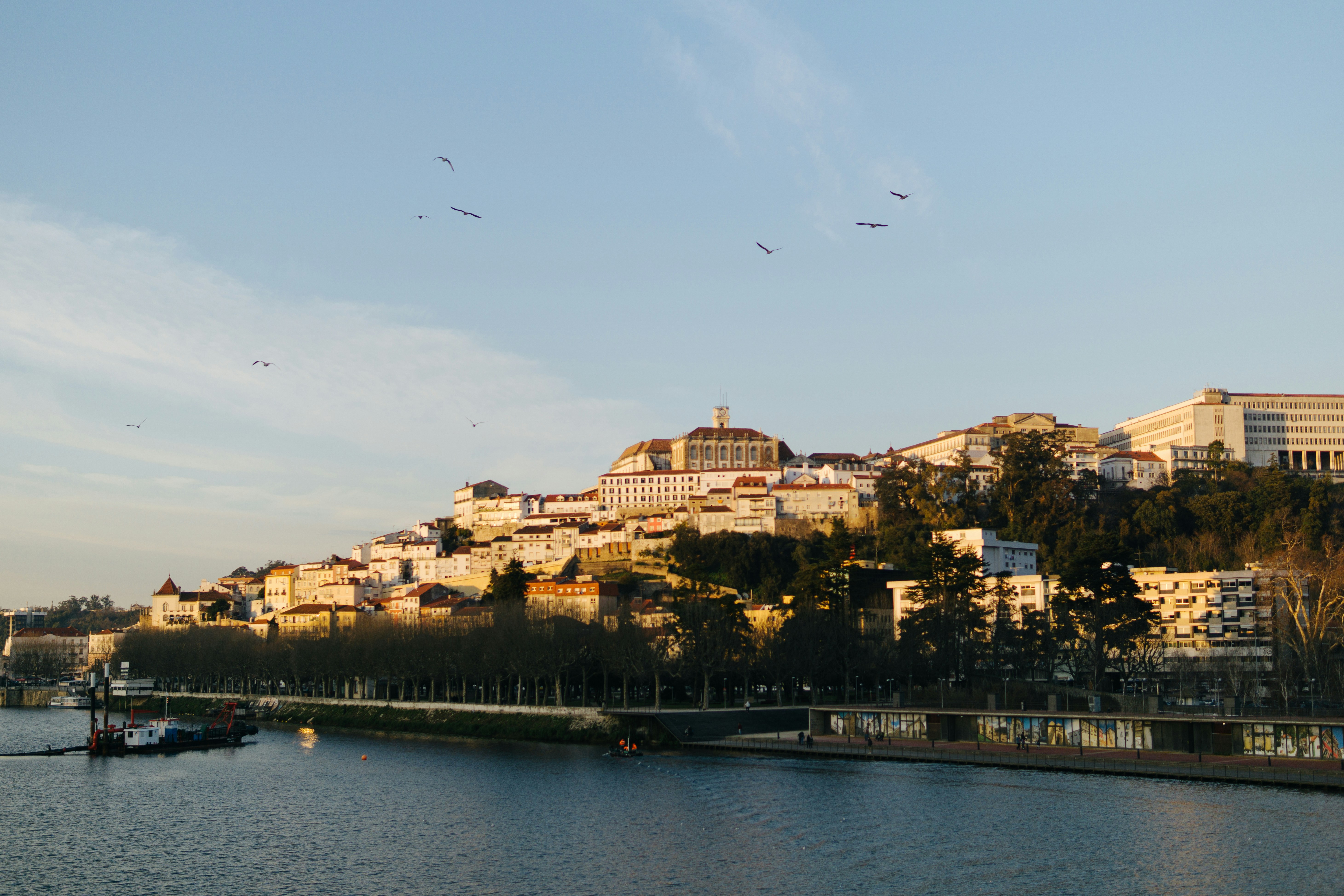 Porto to Lisbon Private Transfer With Sightseeing Stops