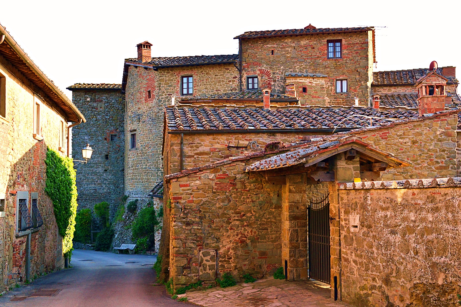 Chianti Wine tour and Badia a Passignano - Photo 16