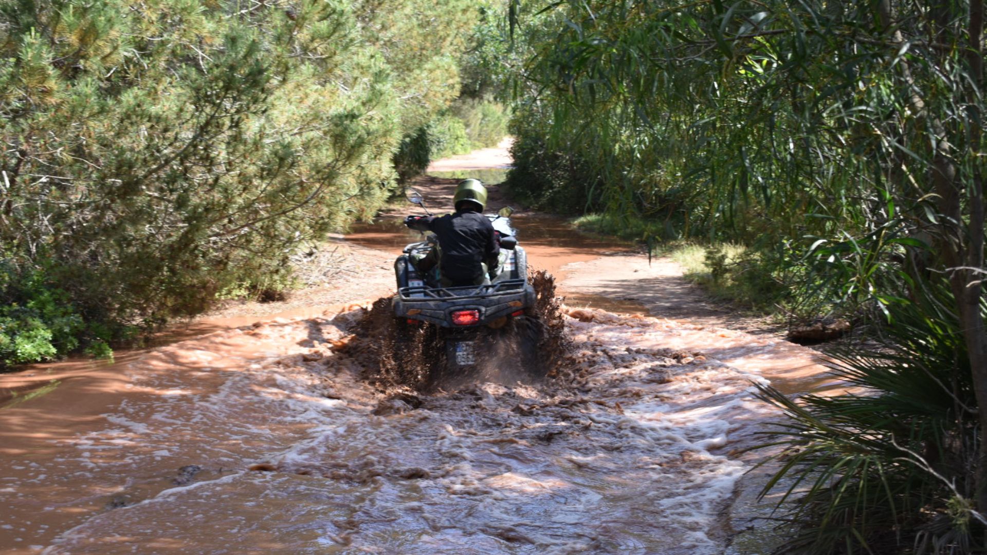 Alghero: 4-hour quad tour - Photo 10