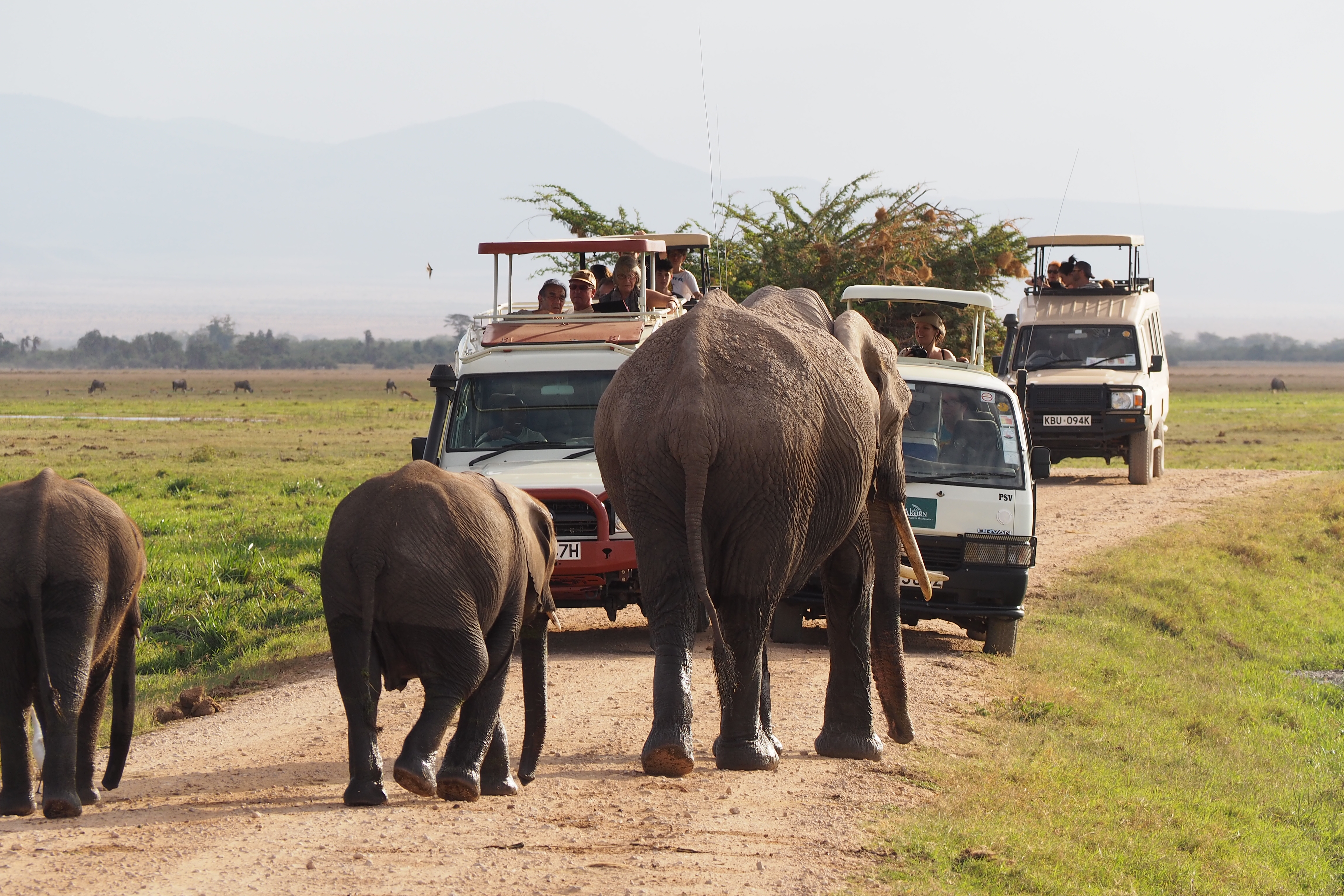 11 días: safari privado de lujo en 4x4, lo mejor de Kenia y Tanzania: globo aerostático - Foto 2