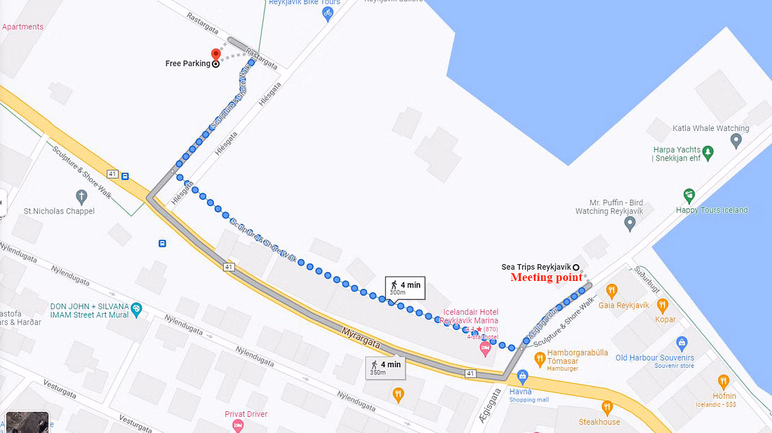 Sailing with Giants: Whale Watching from Reykjavik - photo 3