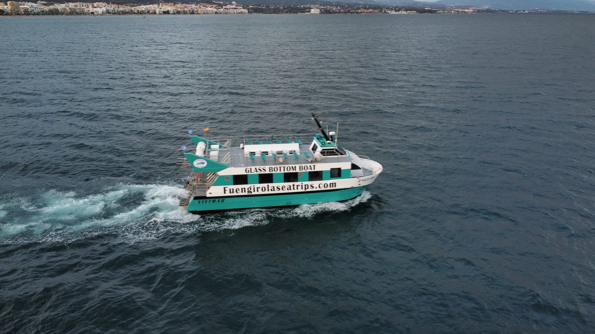 Avistamiento de delfines en Fuengirola