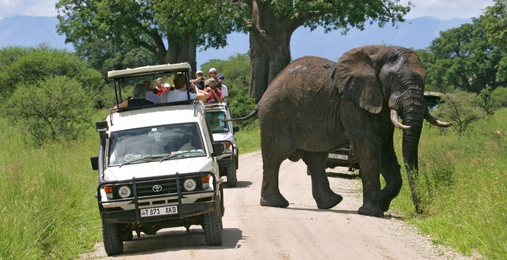 2-Day Tanzania Safari | Tarangire & Ngorongoro Big Five Experience 2-Day Tanzania Safari | Tarangire & Ngorongoro Big Five Experience
