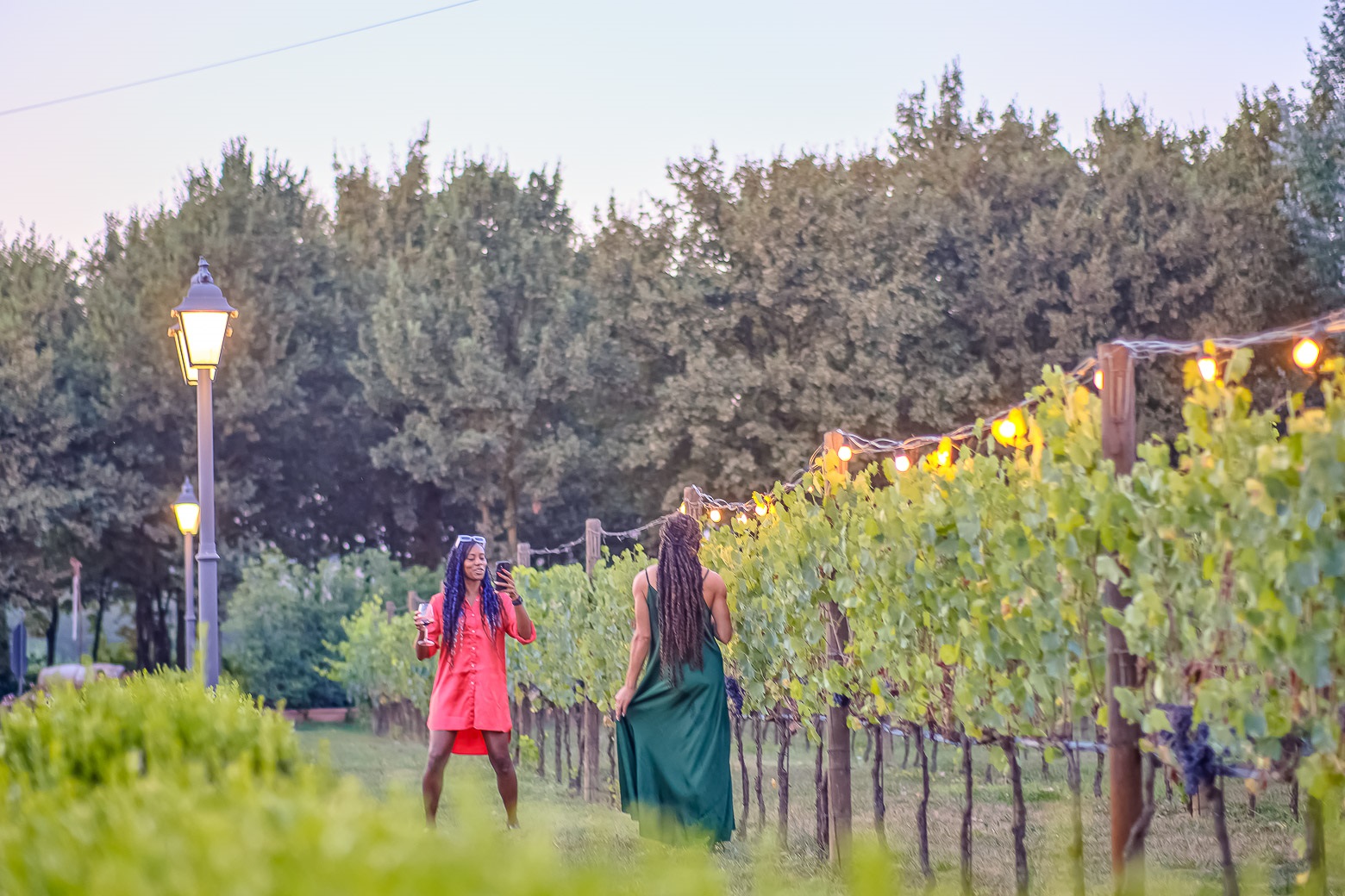 Small-Group Winery Tour with Tasting and Dinner in Chianti - Photo 99
