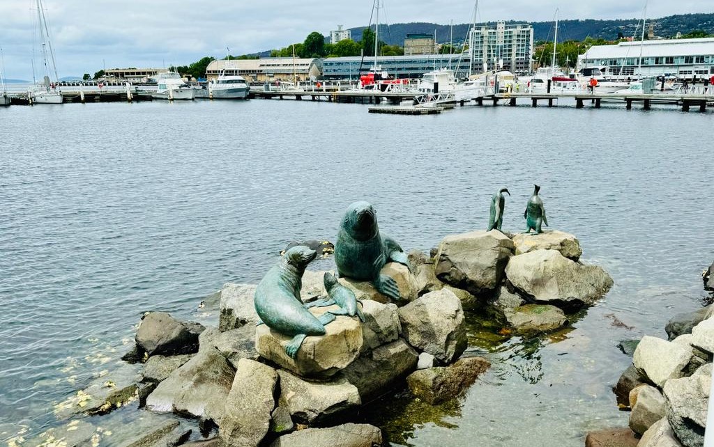 Hobart Discovery Experience  - Photo 4