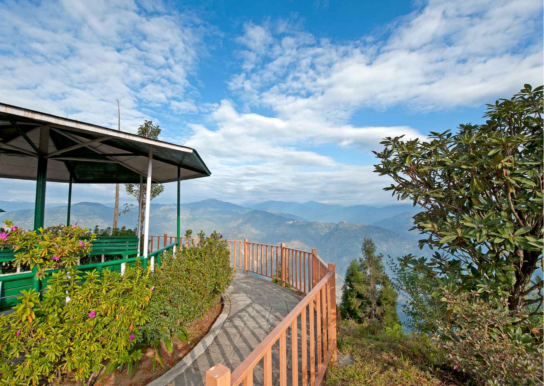 Day Trip to Kalimpong (Guided Private Sightseeing Experience from Gangtok) - Photo 7