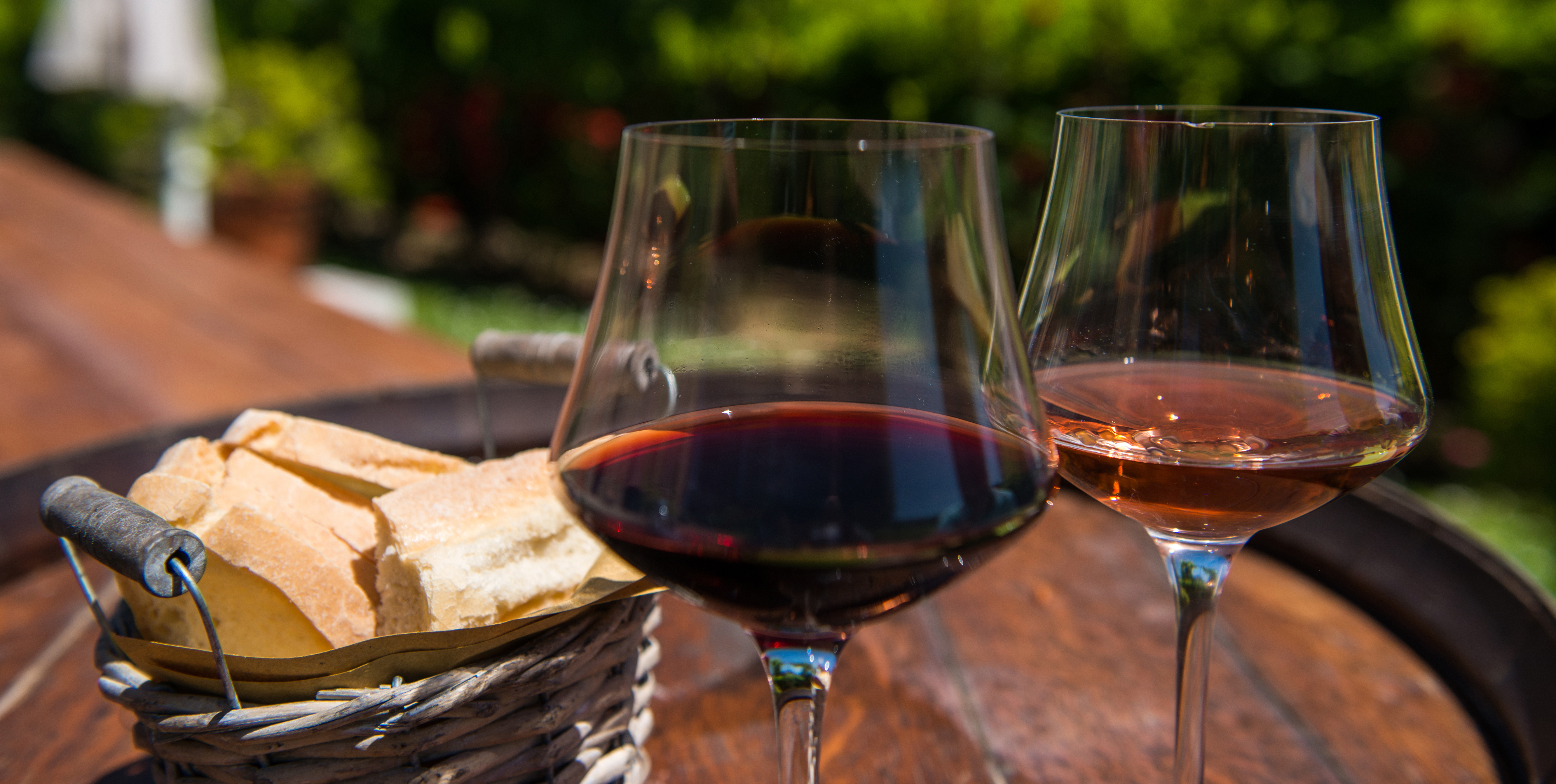 Chianti Wine tour and Badia a Passignano - Photo 7