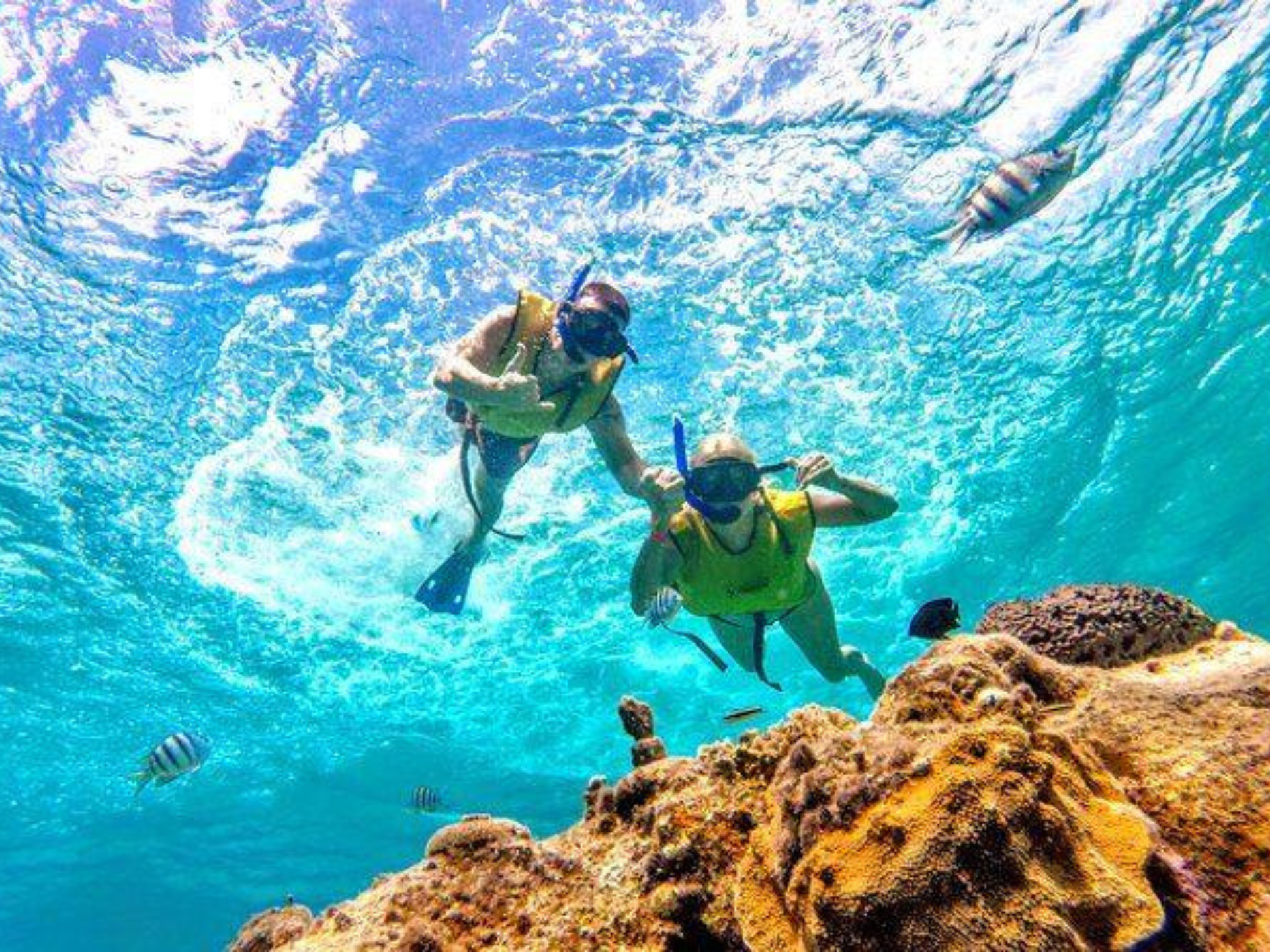 Paseo en lancha transparente en Cozumel — 7/8
