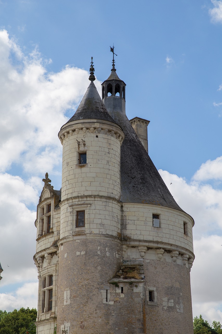 LOIRE VALLEY CASTLES One Day Trip ( Chenonceaux, Chambord & Ambroise) - Photo 6