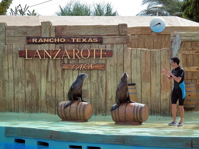 Entrada al Rancho Texas Lanzarote con interacción con leones marinos