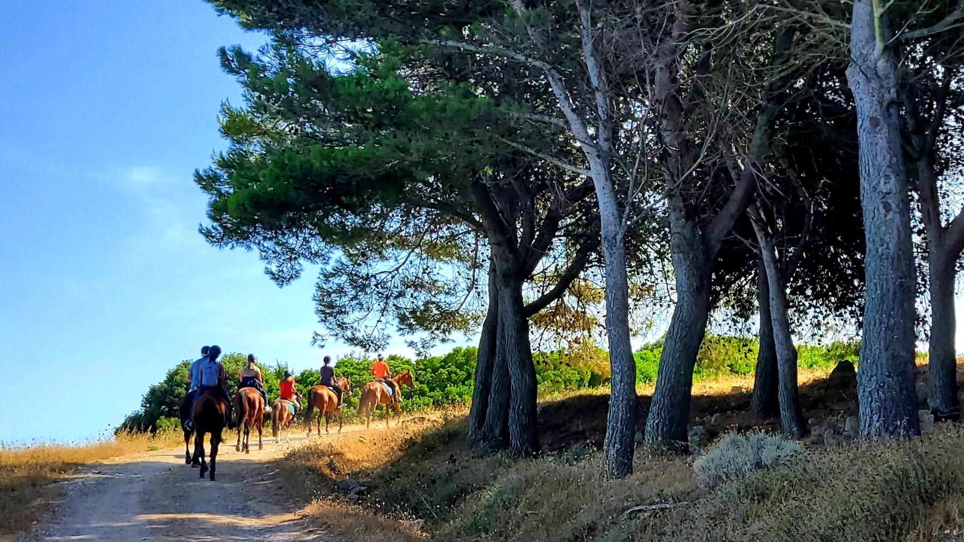 Castelsardo: horseback in Sedini - Photo 15