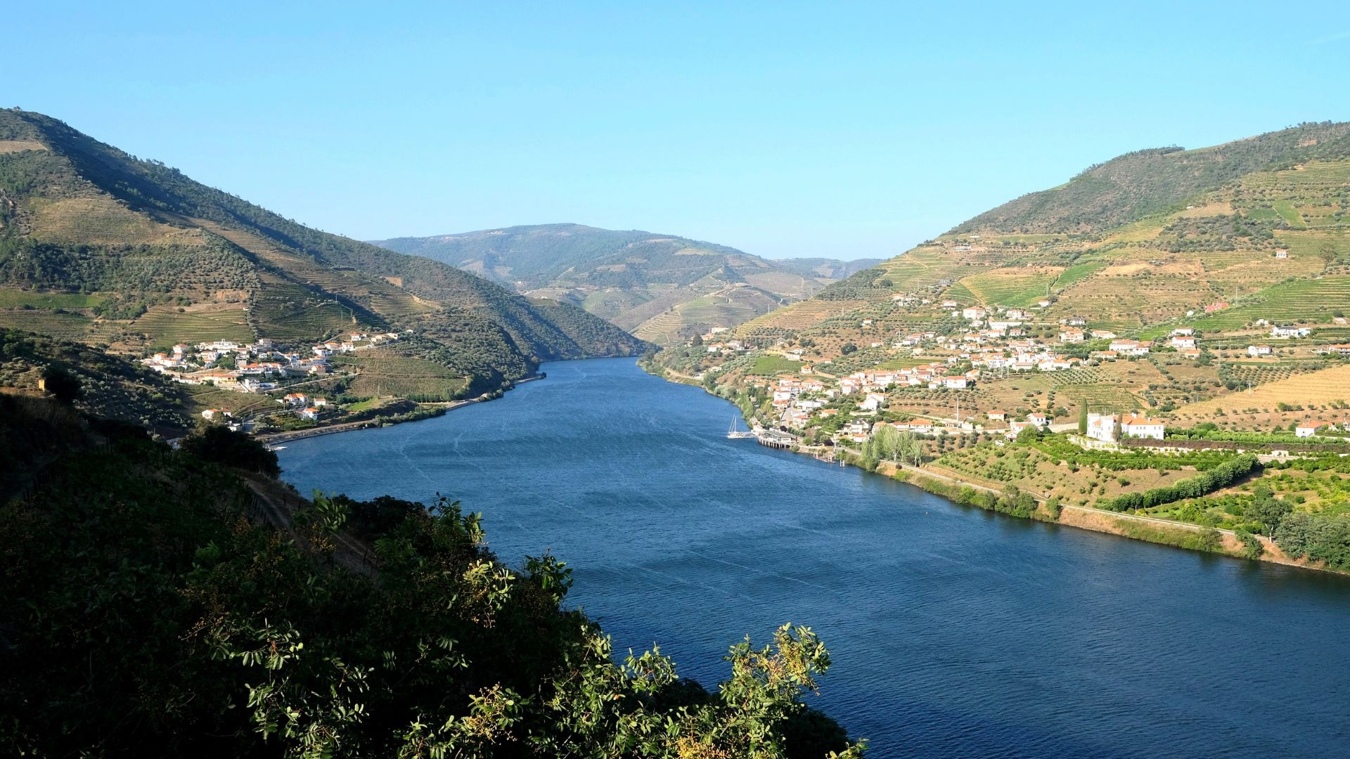 Douro Valley Small Group Tour with Wine Tastings, Lunch and River Cruise  - Photo 15