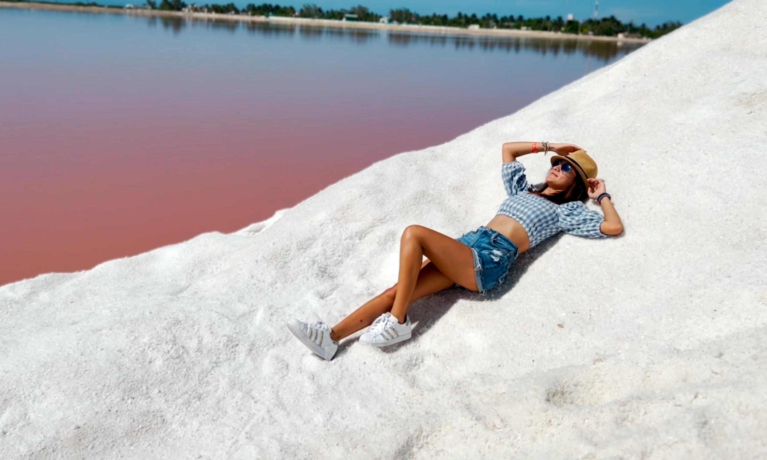 Desde Riviera: Río Lagartos y Las Coloradas 4
