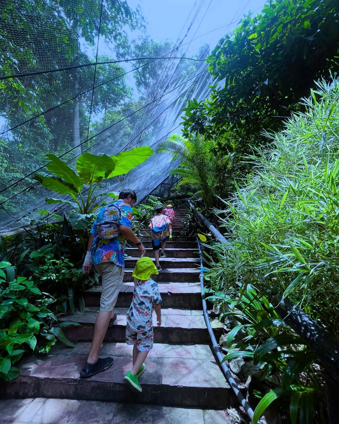 khao kheow open zoo – Image 2 | WeShare