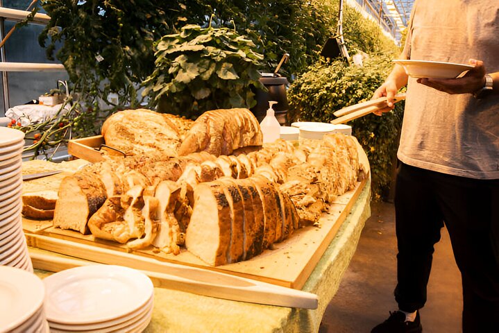 Private Golden Circle & Blue Lagoon Tour with Fridheimar Farm - photo 11