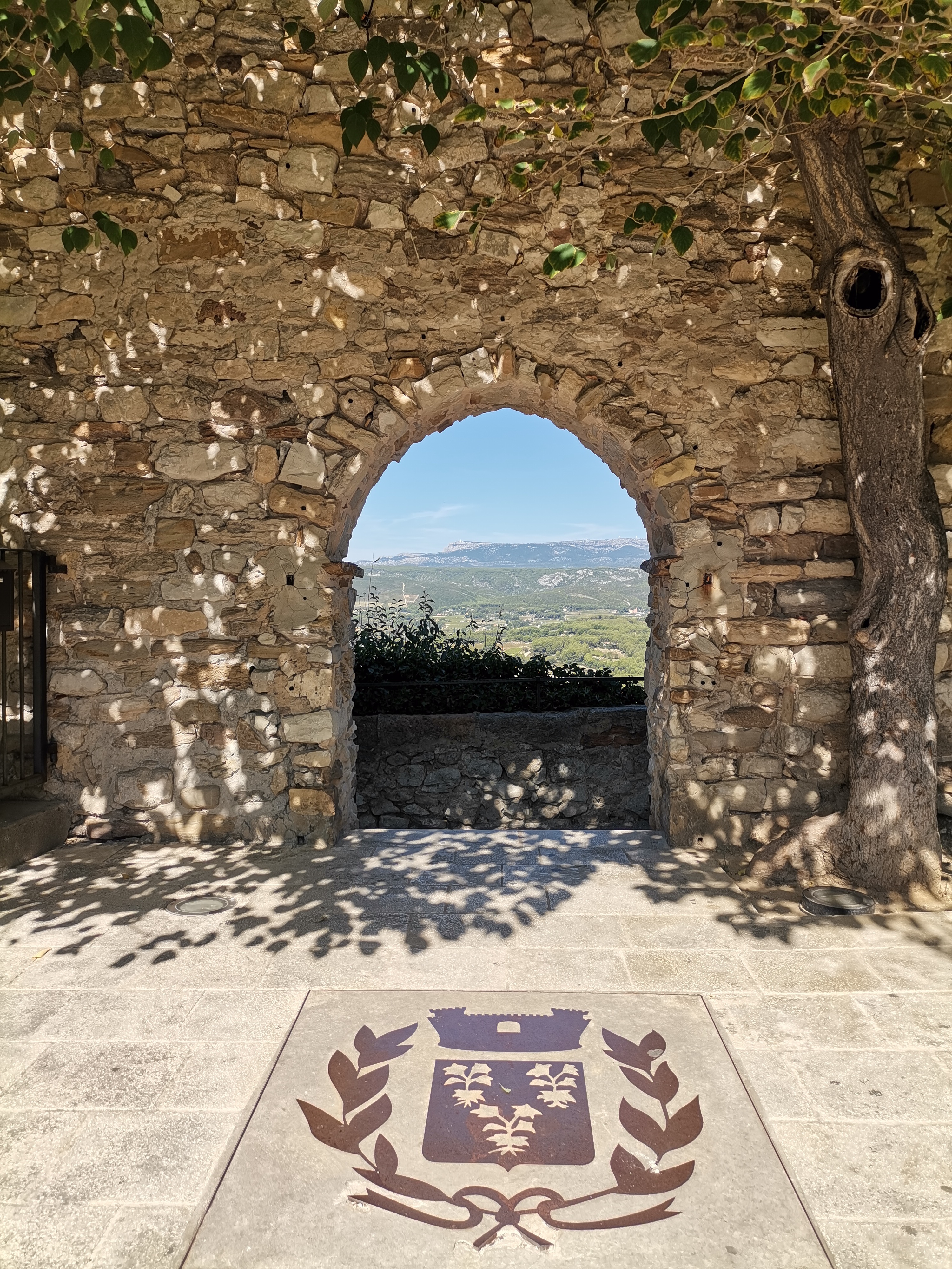 The vineyards of the Coteaux d'Aix-en-Provence and the Sainte-Victoire Mountain - Photo 5