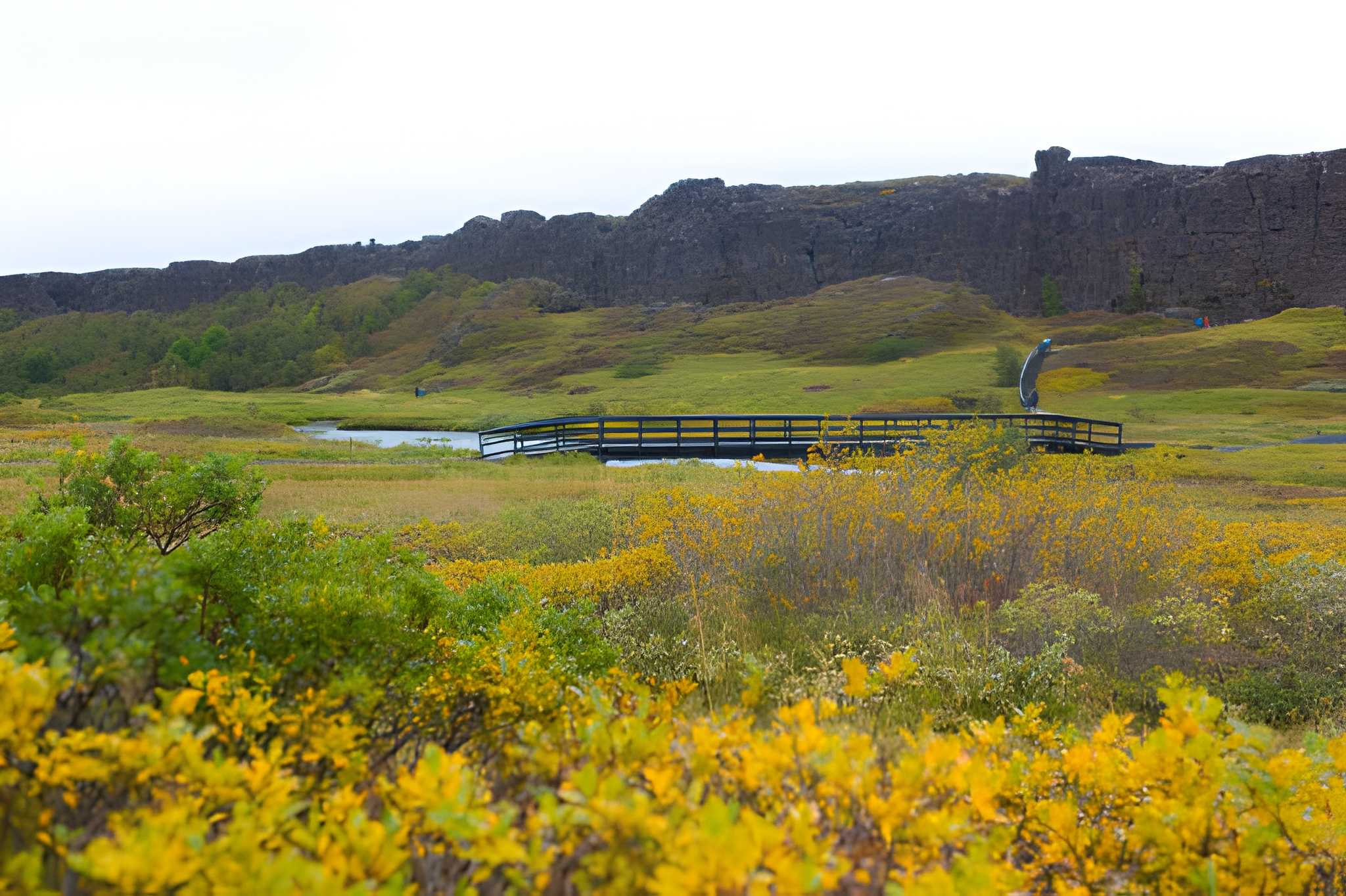 Reykjanes Peninsula Tour with Total Solar Eclipse 2026 from Reykjavík - photo 3