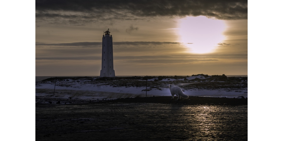 Small group Tour: Snæfellsnes Peninsula and Lava Cave - photo 15