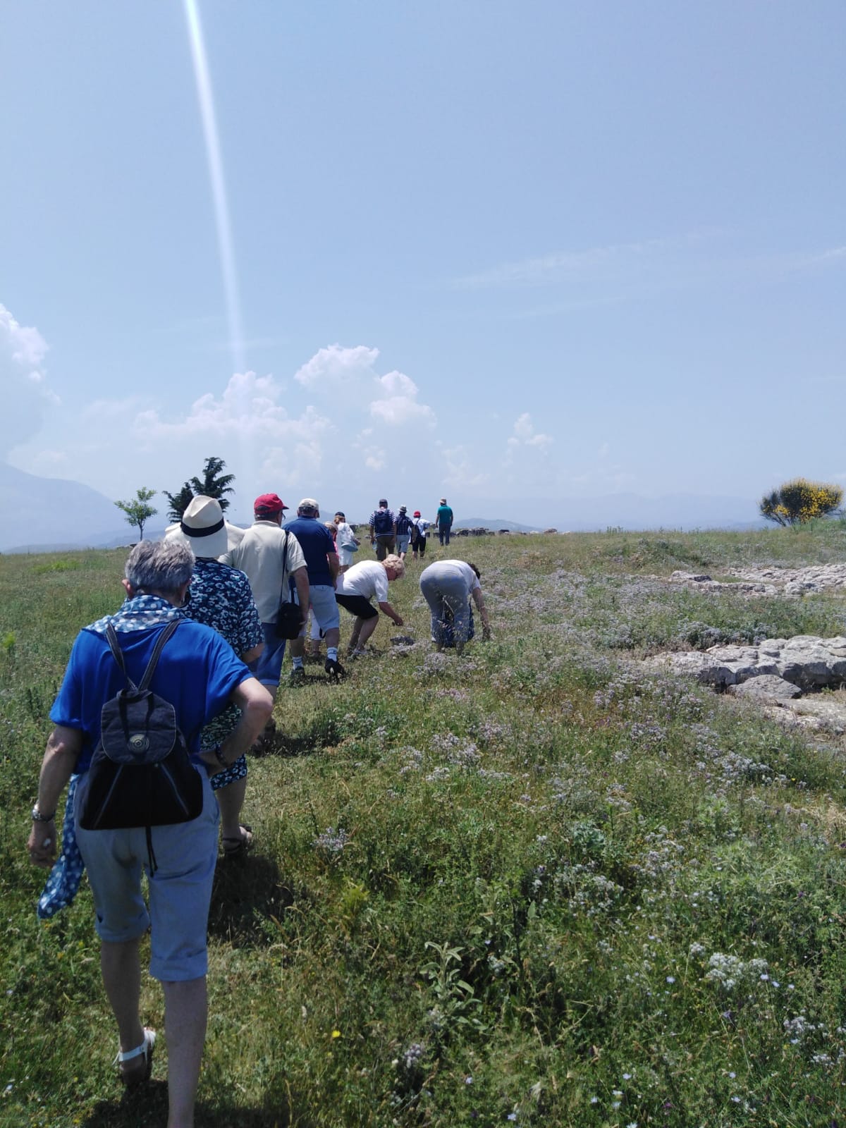 From Fier: Apollonia, Bylis and Ardenica - Photo 3