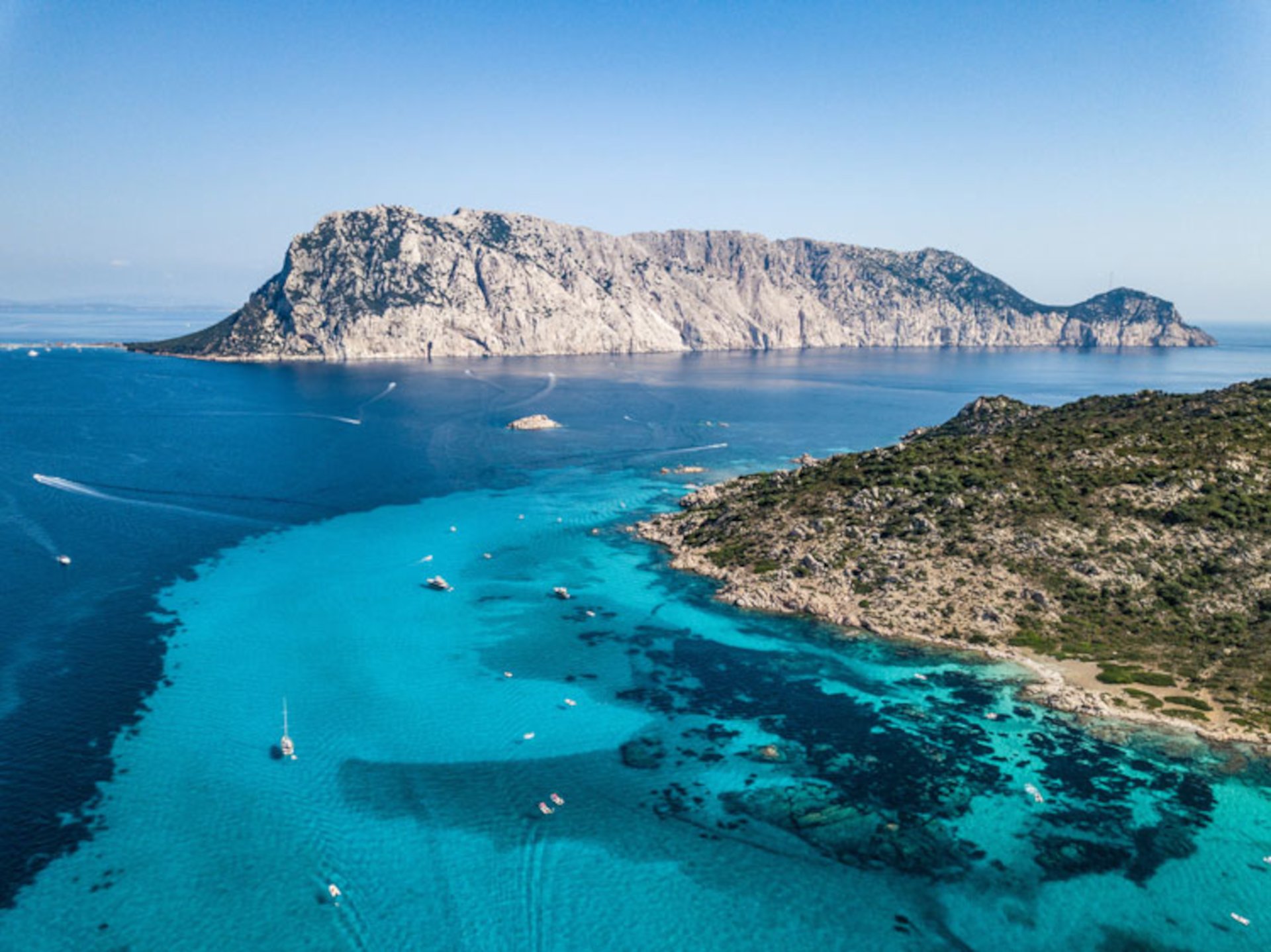 From San Teodoro: diving for professionals in Tavolara and Molara - Photo 15