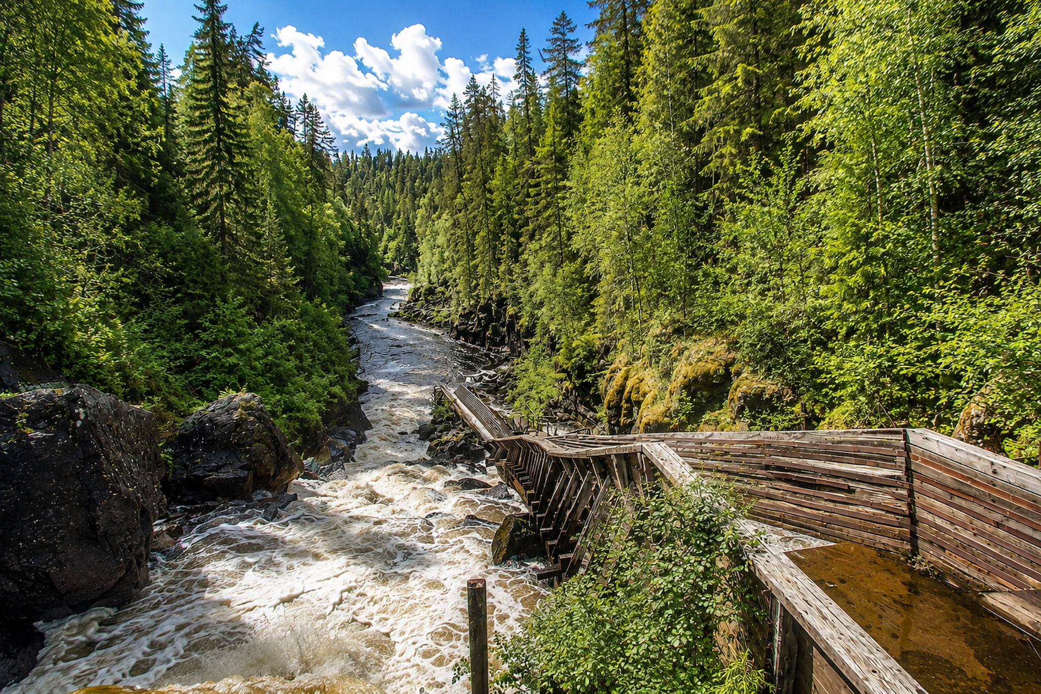 Rovaniemi: Auttiköngäs Waterfalls Hike Tour & Barbeque – Small Group