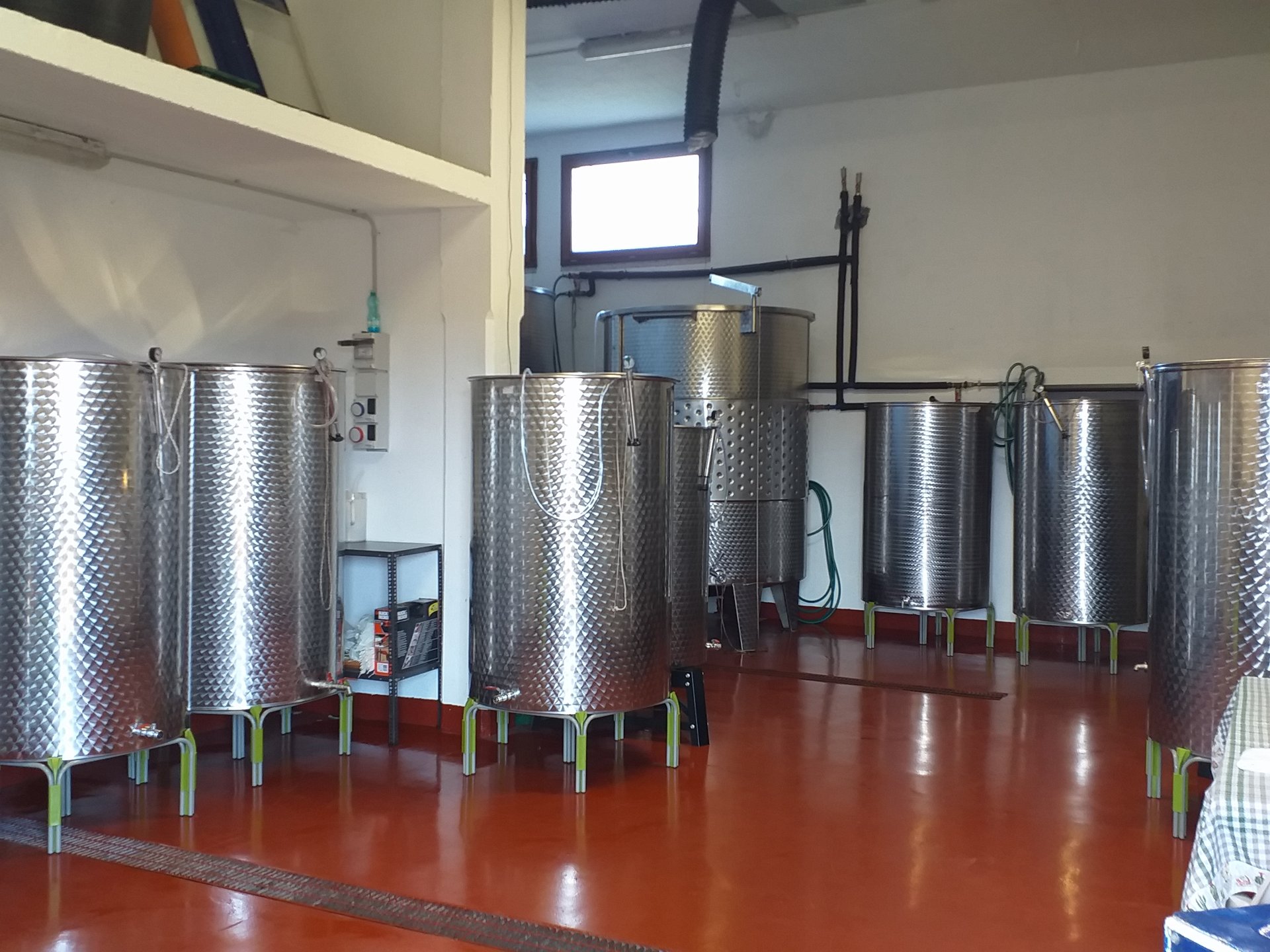 Dorgali: visit of a winery with tasting - Photo 7