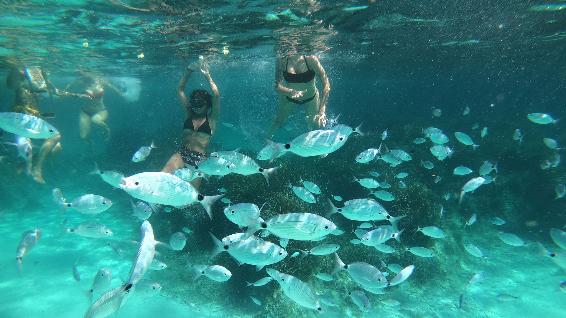 Full-day excursion by dinghy to Favignana and Levanzo - Photo 4