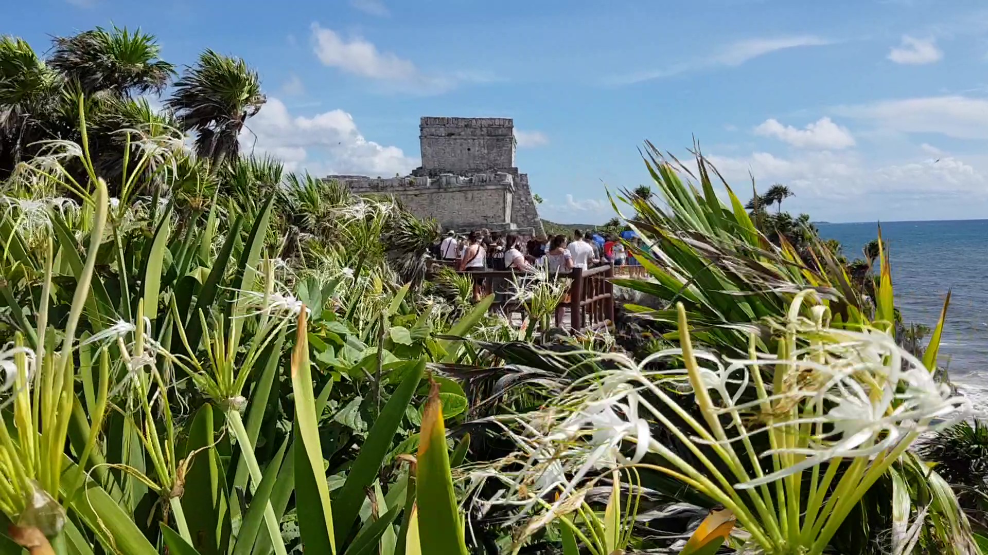 Aventura Maya desde Cancún Cobá y las Ruinas de Tulum con nado en cenote
