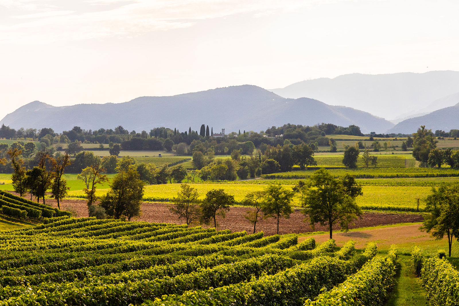 E-Bike tour with Wine tasting from Salò - Photo 3