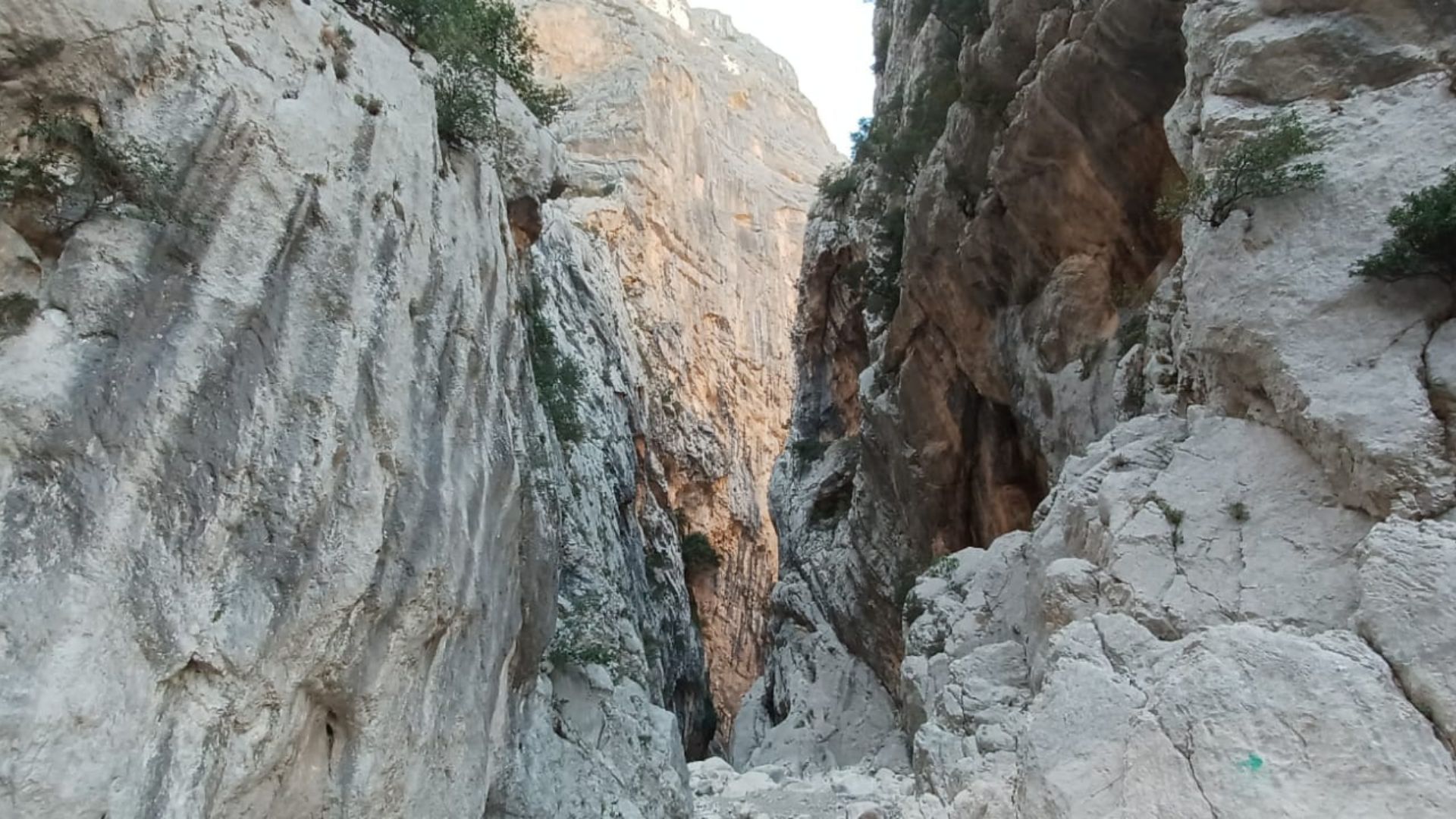 From Urzulei: trekking in the Gorropu canyon - Photo 10