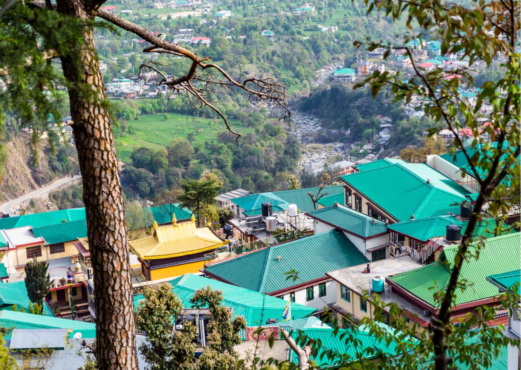 Highlights of Dharamshala (Guided Fullday Sightseeing Tour by Car) - Photo 8