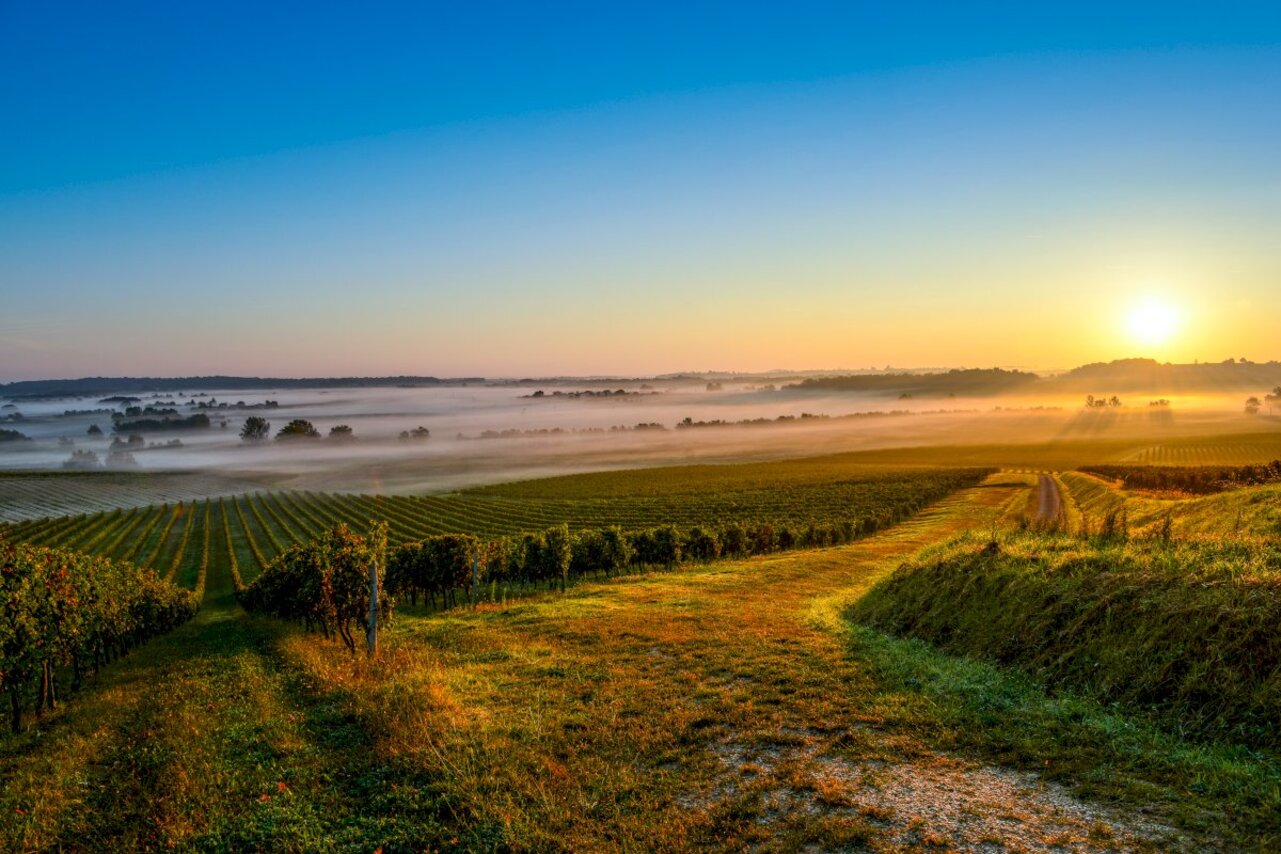 Bordeaux'dan: Le Verdon Kruvaziyer Limanı ile Medoc Şarap Turu