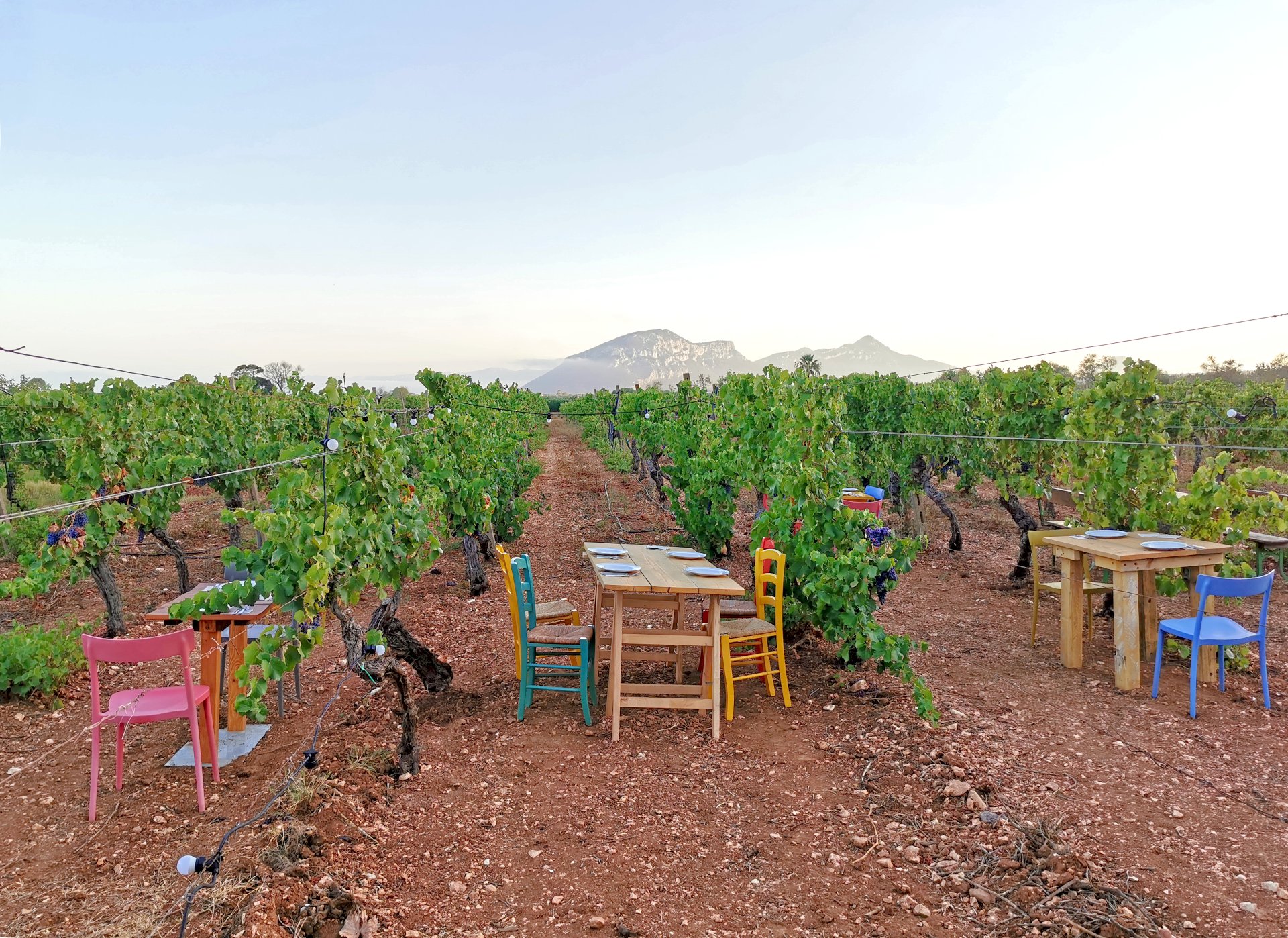 From Orosei: private jeep tour through archaeology and gastronomy - Photo 8