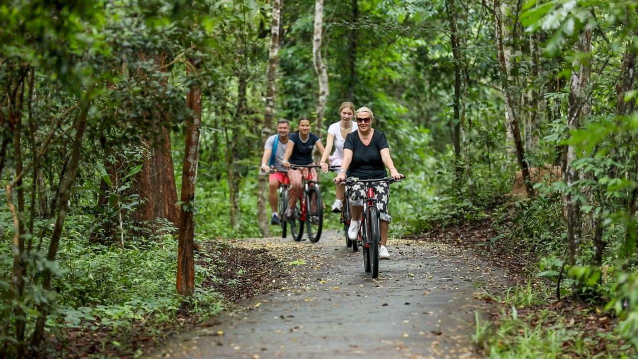 Angkor Jungle Biking Adventure Private Cycling Tour
