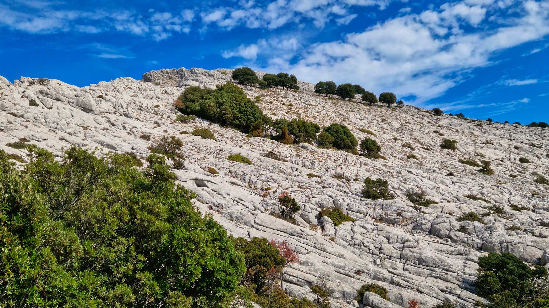 Lula: Montalbo hiking - Photo 4