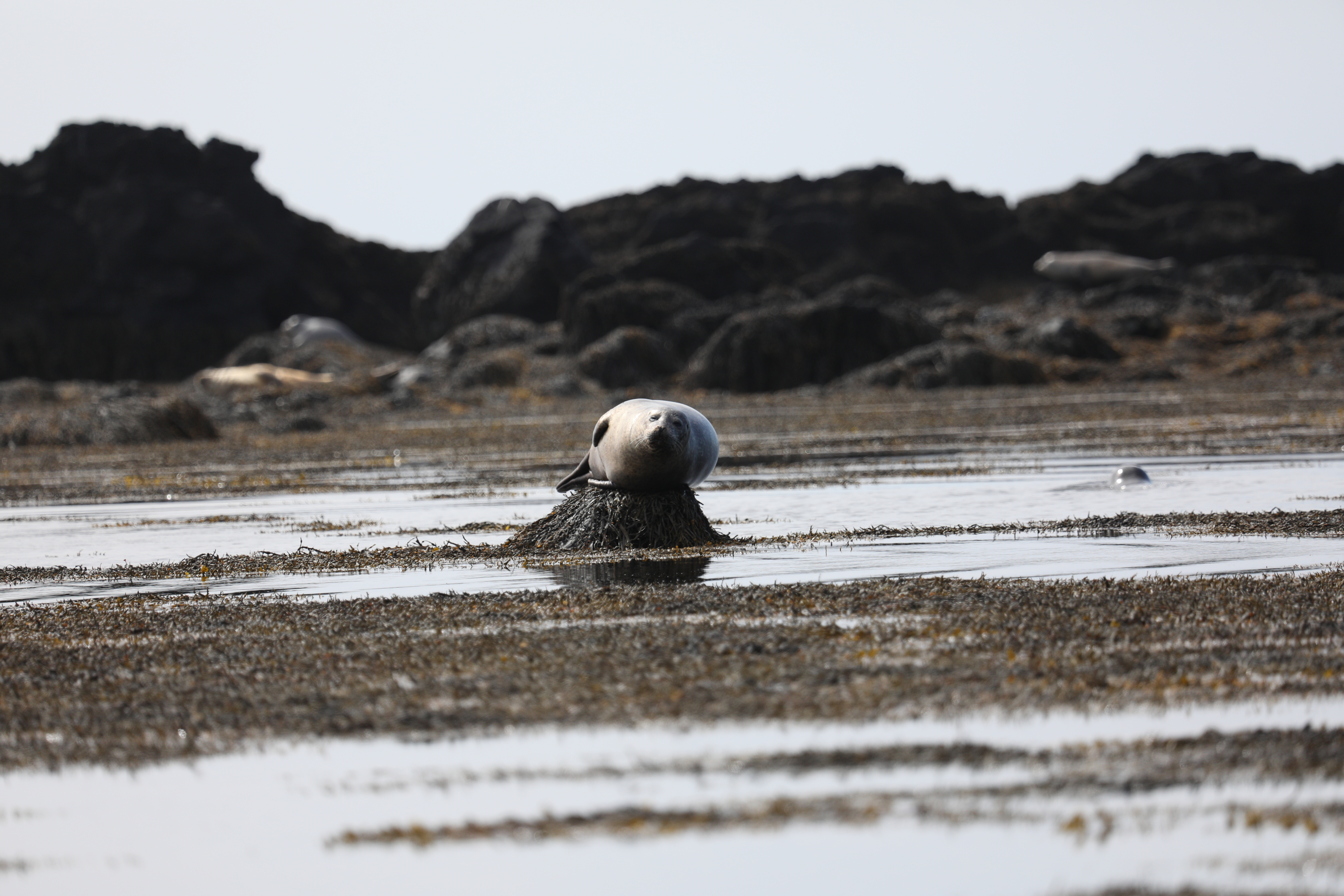 Private Super Jeep with driver guide, fits 10 passengers - photo 11