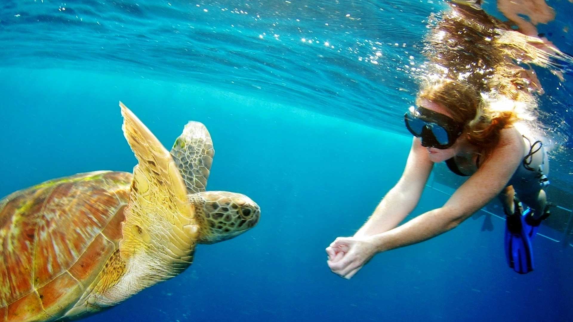 Islas Surin en lancha rápida desde Khao Lak
