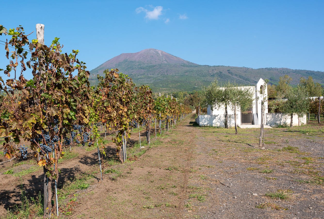 Mount Vesuvius crater tour with lunch at a vineyard - Photo 3